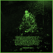 Putrid Marsh: Pestilent Bog