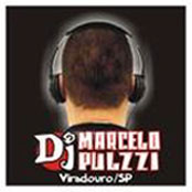 Dj Marcelo Pulzzi