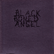 Bliss And Void Inseparable by Black Boned Angel