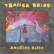 Bruises For Pearls by Trailer Bride
