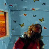 Ночные Вылазки