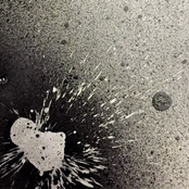 Negative to the Power of Infinity