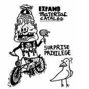 Surprise Privilege: Expand Material Catalogue