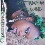 Spitting in the Wind