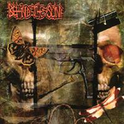 Broken Hearts and Shattered Bones