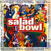 Salad Bowl (Sampler)