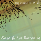 Expression Crash