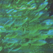 Bass Communion v Muslimgauze EP