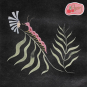 Floating Action: Cheey