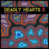 Electric Fields: Vision