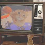 songs that cat cat cat catcatcatatatat