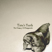 Time's Teeth