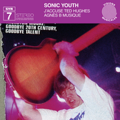 Agnes B Musique by Sonic Youth