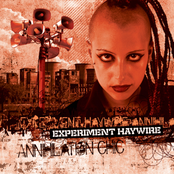 Stereotype by Experiment Haywire
