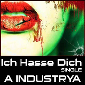 Ich Hasse Dich