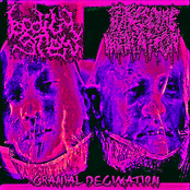 CRANIAL DECIMATION (BXS SIDE)