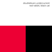 red rabbit, black cat