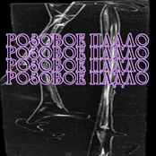 Розовое Падло