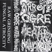 Meatus / Arroyo / Ogre / Hallucinosis