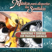 Música para Despertar los Sentidos. Rancheras y Corridos (Instrumental)