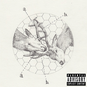 The Marriage Contract Between A Deer and Headlights