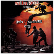 Walter Gross Presents Sole / Youth:Kill