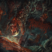 Too Mutilated to Identify