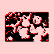 Petals Pulled Away