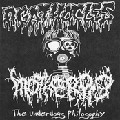 The Underdogs Philosophy