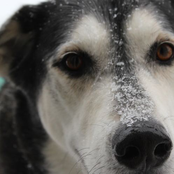 Live at Lincoln Hall, Chicago IL - 1/28/2012