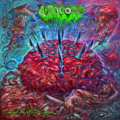 Scalpels For Blind Surgeons