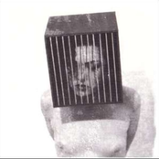 Rose Au Coeur Violet