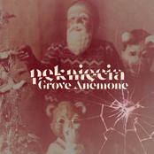 Pęknięcia