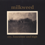 Milkweed: Cry, Lonesome & High