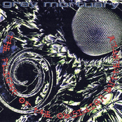 The Flight of the Obsidian Butterfly