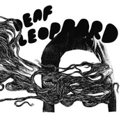 Deaf Leoppard