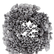 oh, deer! / Hurtovyna / La Belle Verte