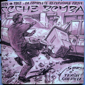 5 years of trash guerrilla