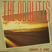 Too Much To Dream by The Odolites