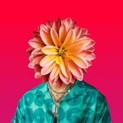 Neck Up (feat. Bairi & Dende)
