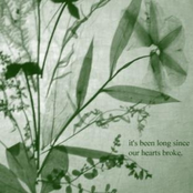 It's been long since our hearts broke