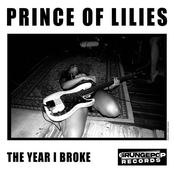 The Year I Broke