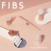 Anna Meredith - FIBS Artwork