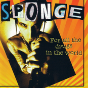 Sponge-For All the Drugs in the World