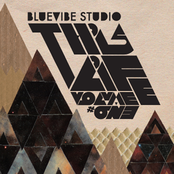 bluevibe studio