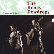 The Honey Dewdrops: These Old Roots