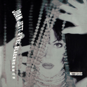 Notorious cover