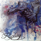 This Flag Needs A Voice