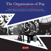 The Organisation Of Pop: 30 Years Of Zang Tuum Tumb