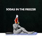 Flycatcher: Sodas in the Freezer